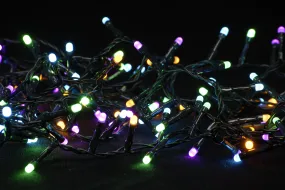 1000 Aurora Christmas Lights