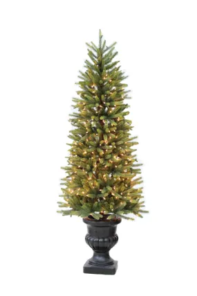 5' Ultra-Lit LED Washington Fir Clear