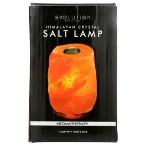 Aromatherapy Salt Lamp 1 Count By Evolution Salt