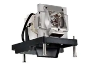 Bti Lamp For Optoma Eh500 Oem: Bl-Fu310b De.5811118436