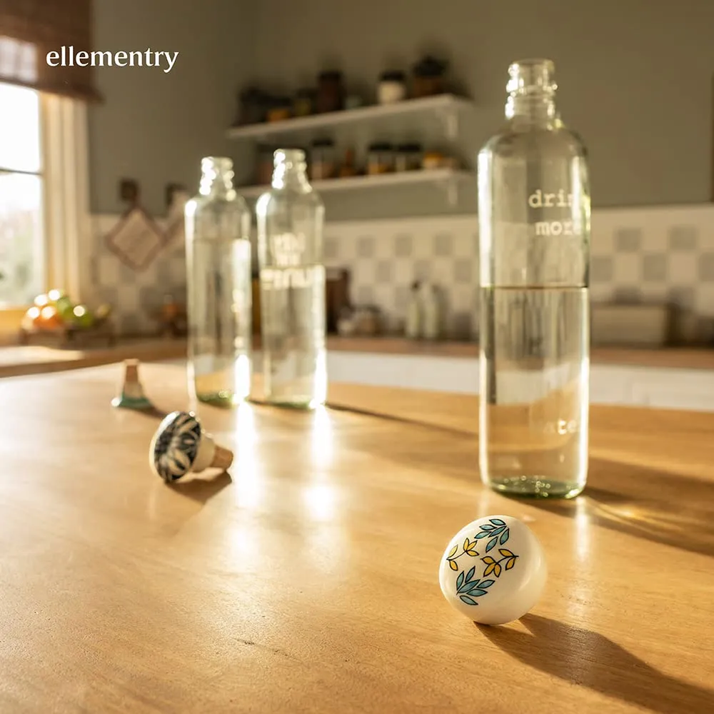 Ellementry Drink More Glass Bottle with Cork (750 ML)| Water and Milk Bottle for Fridge | Clear and Transparent Bottles for Home & Office | BPA Free | Stylish and Premium Wine Bottle- Set of 2