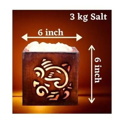 Ganesh Ji Himalayan Salt Lamp For Positive Energy Vastu