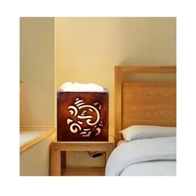 Ganesh Ji Himalayan Salt Lamp For Positive Energy Vastu