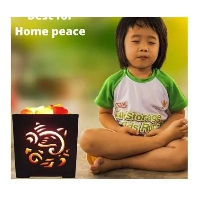 Ganesh Ji Himalayan Salt Lamp For Positive Energy Vastu