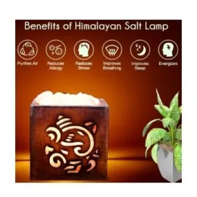 Ganesh Ji Himalayan Salt Lamp For Positive Energy Vastu