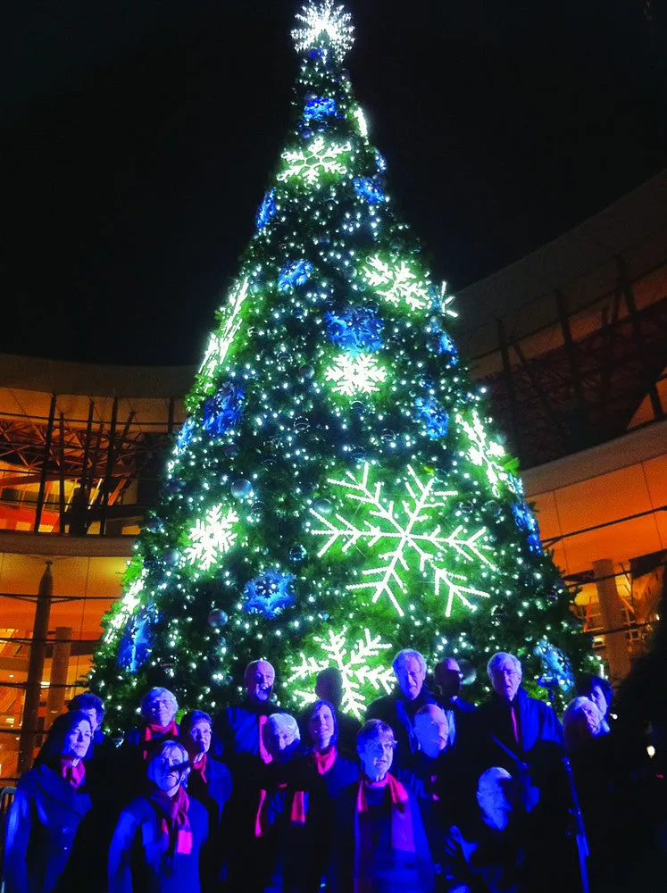 Giant Sequoia Tower Christmas Tree