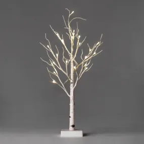 Lighted Birch Tree