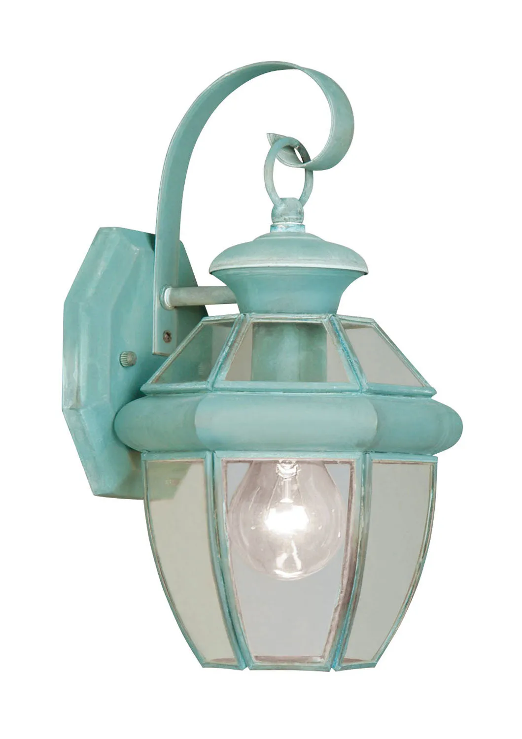 Monterey 1-Light Outdoor Wall Lantern