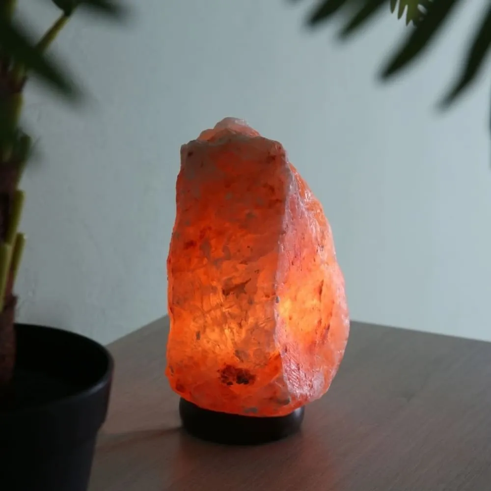 ONEarth Natural Rock Shape Himalayan Salt Lamp