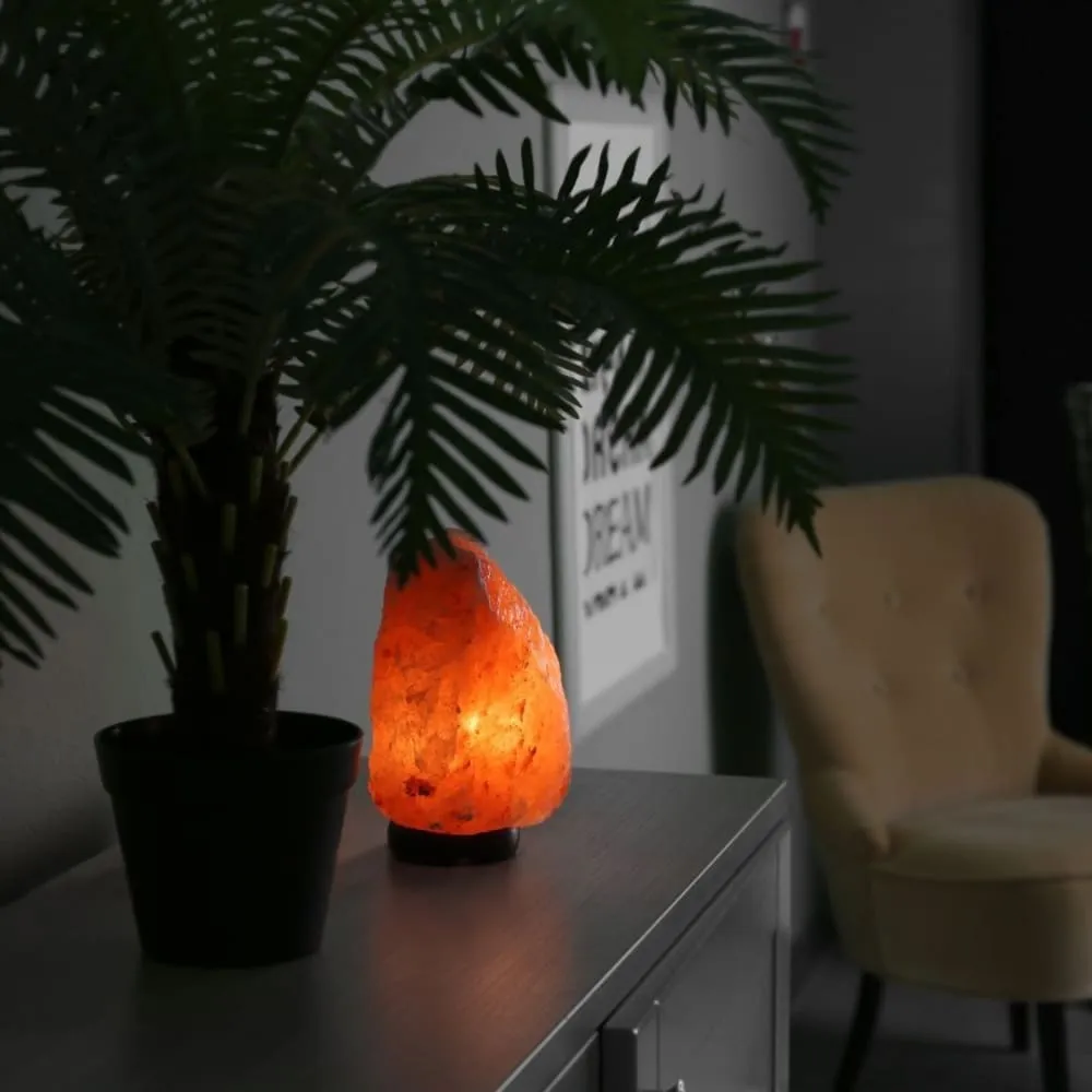 ONEarth Natural Rock Shape Himalayan Salt Lamp