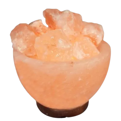 Salt lamp - Natural Abundance Bowl Small