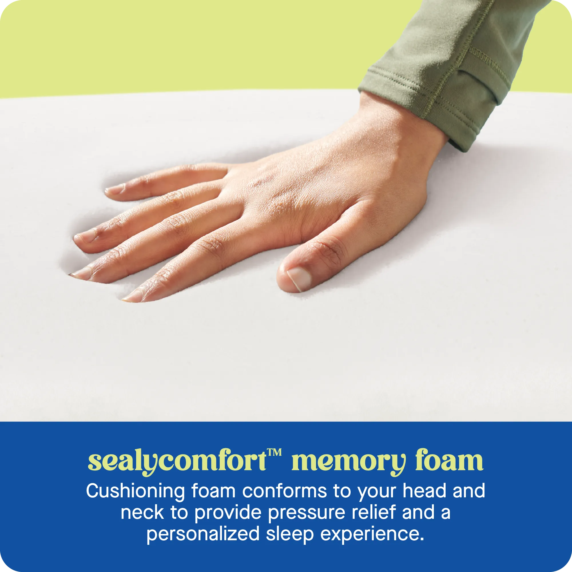 Sealy® Dreamlife™ Shredded Foam Pillow - Standard Size