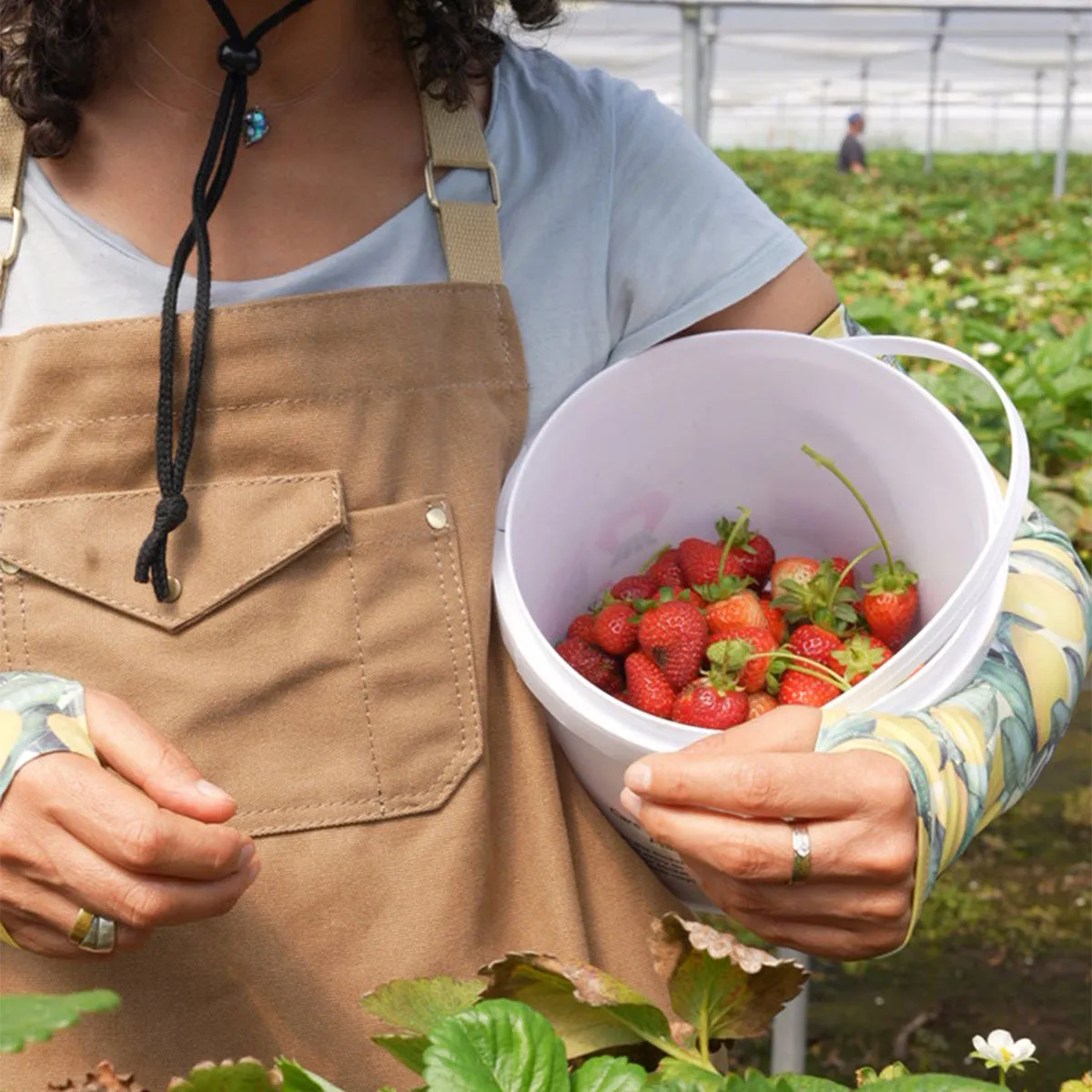 The Canvas Workhorse Apron - Sawdust FINAL SALE