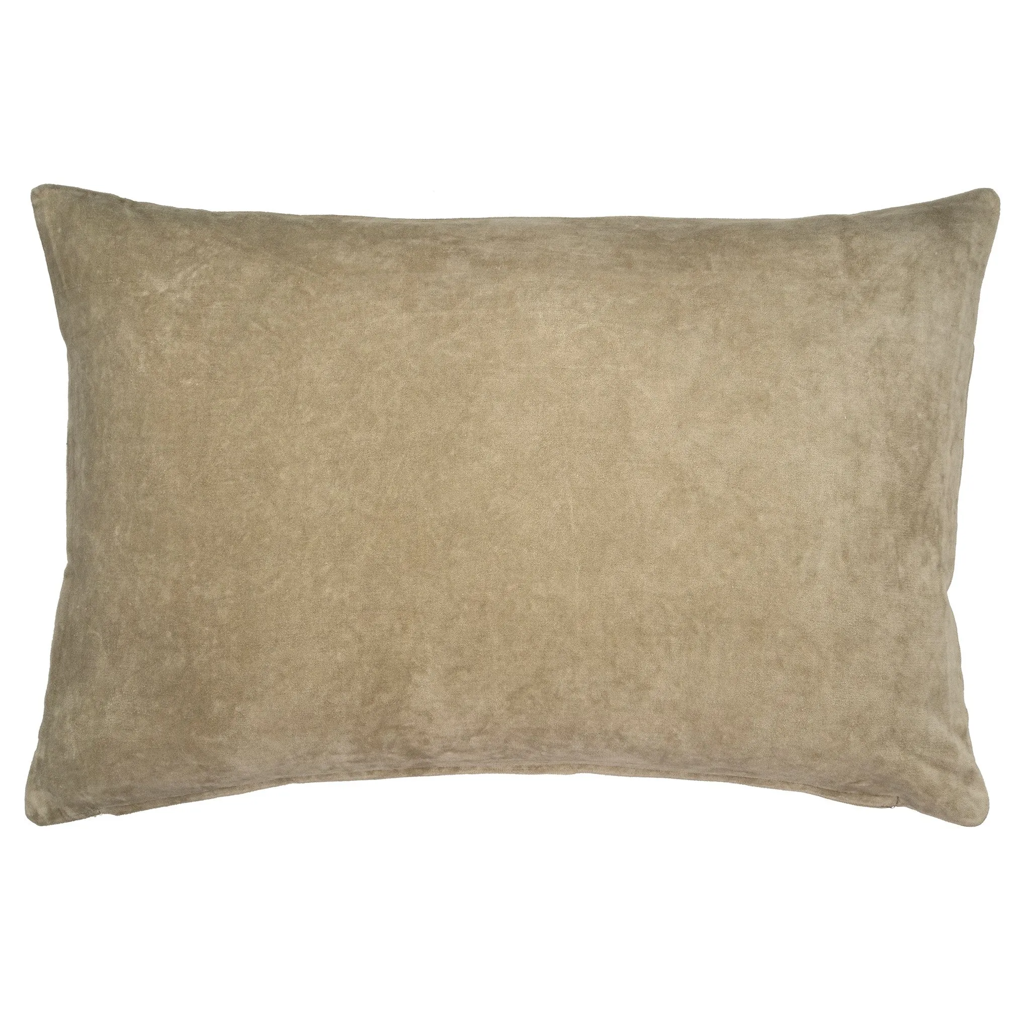 Vera Velvet Pillow, 16x24, Celery