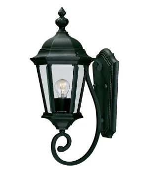 Wakefield 1-Light Outdoor Wall Lantern in Textured Black