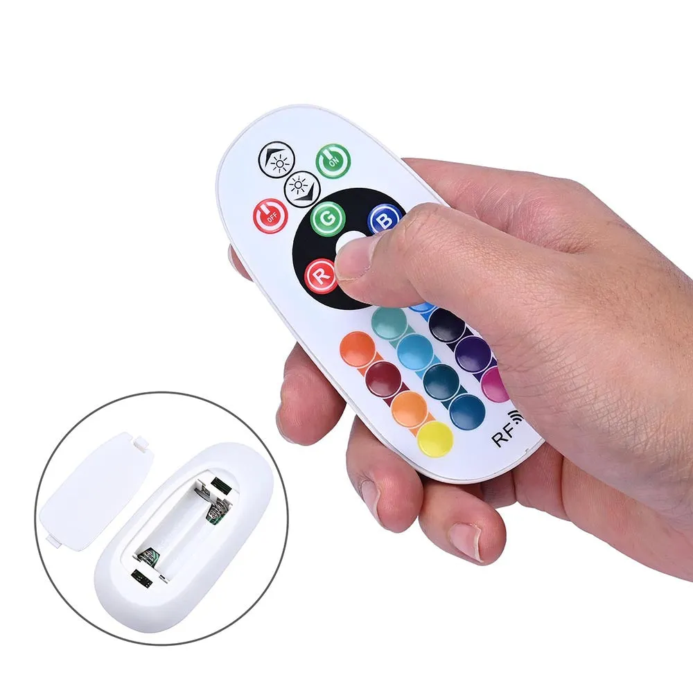 Yescom LED Controller RF Remote for Neon Rope Light RGB